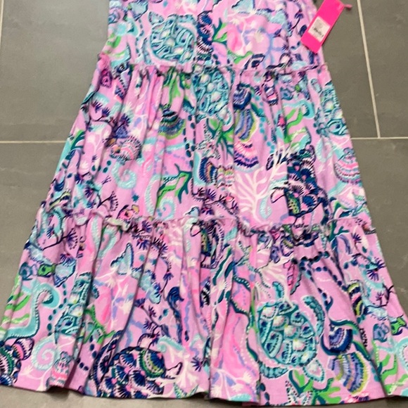 NWT Lilly Pulitzer XS sleeveless dress - Picture 3 of 5